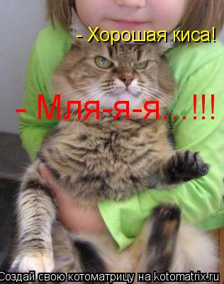 Котоматрица: - Хорошая киса! - Мля-я-я...!!!
