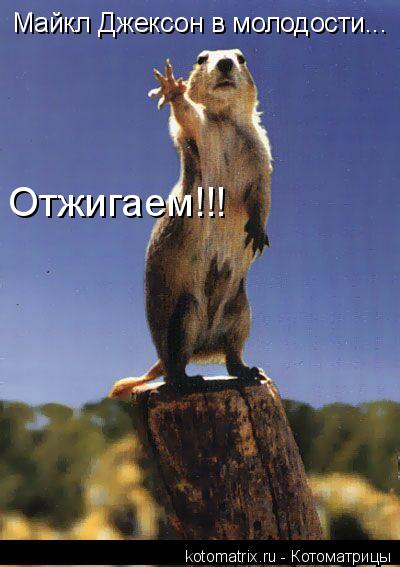 Котоматрица: Майкл Джексон в молодости... Отжигаем!!!