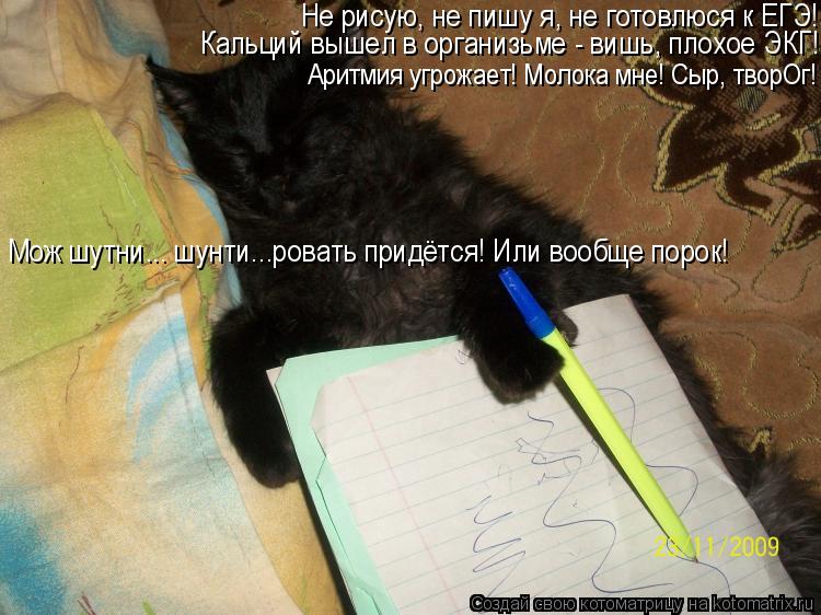 Котоматрица: Аритмия угрожает! Молока мне! Сыр, творОг! Кальций вышел в организьме - вишь, плохое ЭКГ! Не рисую, не пишу я, не готовлюся к ЕГЭ! Мож шутни... шу