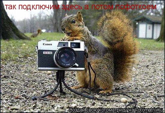 Котоматрица: так подключим здесь а потом пофоткоем