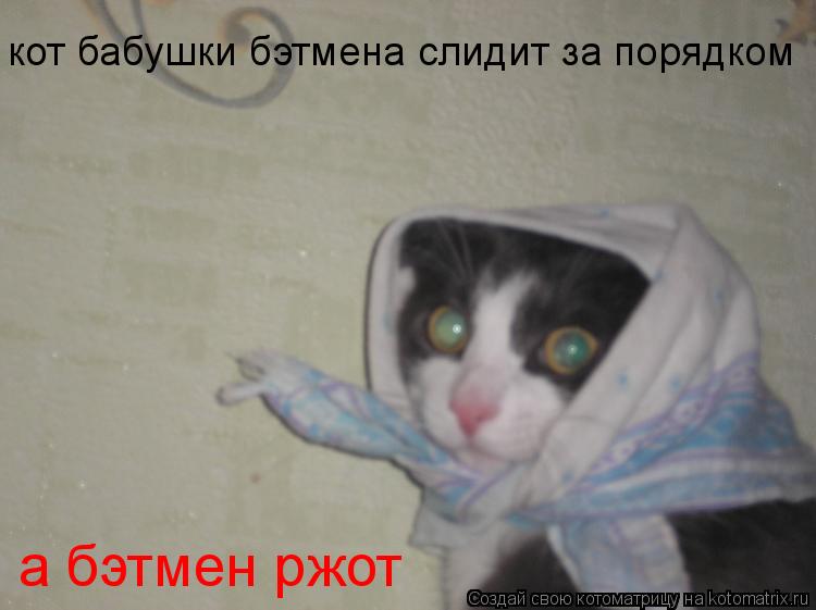 Котоматрица: кот бабушки бэтмена слидит за порядком а бэтмен ржот