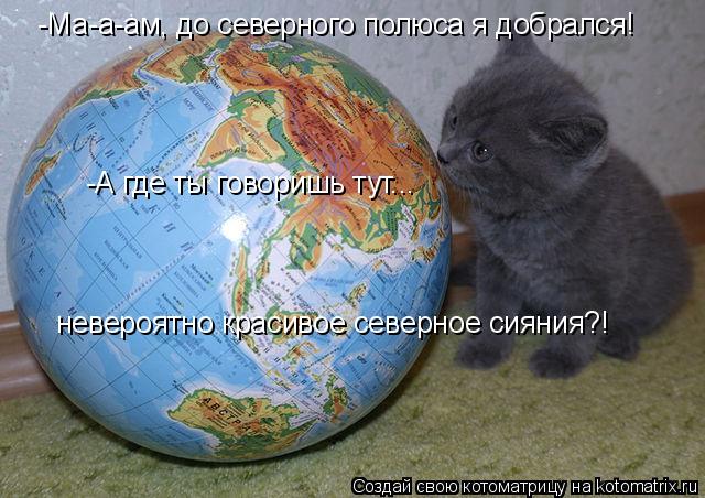 Котоматрица: -Ма-а-ам, до северного полюса я добрался! -А где ты говоришь тут...  невероятно красивое северное сияния?!