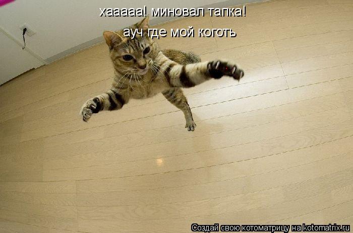 Котоматрица: хааааа! миновал тапка! ауч где мой коготь .