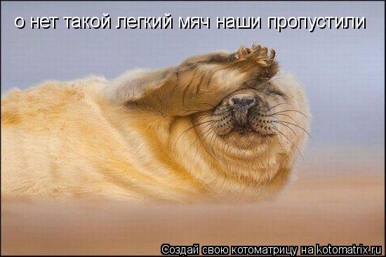 Котоматрица: о нет такой легкий мяч наши пропустили