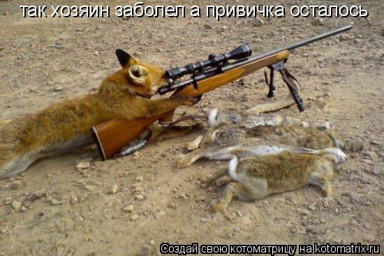 Котоматрица: так хозяин заболел а привичка осталось