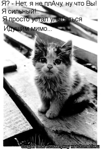 Котоматрица: Я? - Нет, я не плАчу, ну что Вы! Я сильный!.. Я просто устал улыбаться Идущим мимо...
