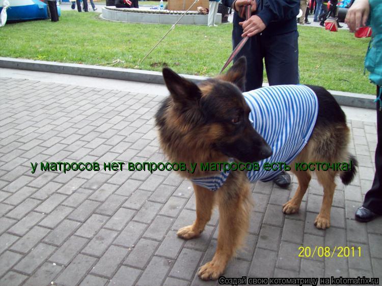 Котоматрица: у матросов нет вопросов,у матросов есть косточка!