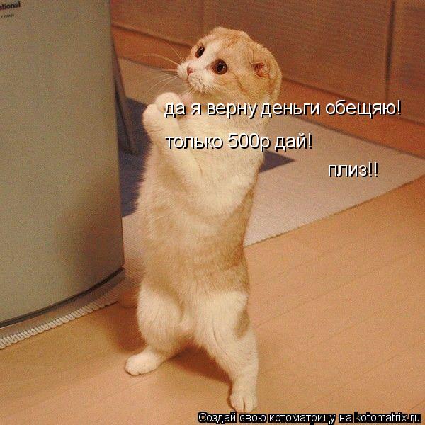 Котоматрица: да я верну деньги обещяю! только 500р дай! плиз!!