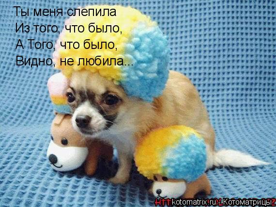 Котоматрица: Ты меня слепила Из того, что было, А Того, что было, Видно, не любила...