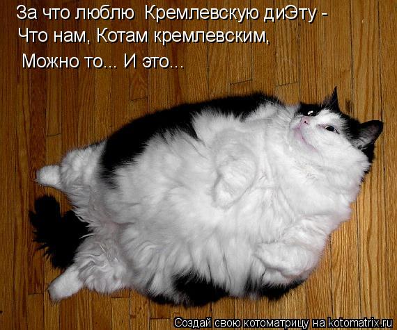 Котоматрица: За что люблю  Кремлевскую диЭту - Что нам, Котам кремлевским, Можно то... И это...