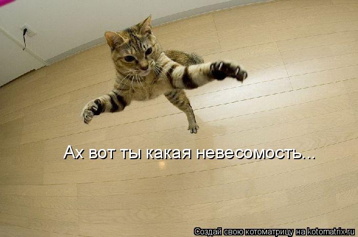 Котоматрица: Ах вот ты какая невесомость...