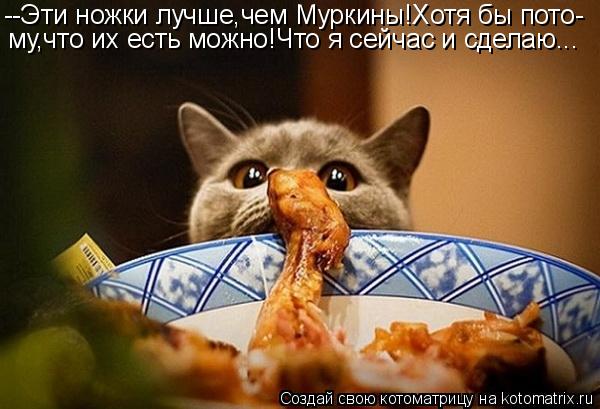 Котоматрица: --Эти ножки лучше,чем Муркины!Хотя бы пото- му,что их есть можно!Что я сейчас и сделаю...