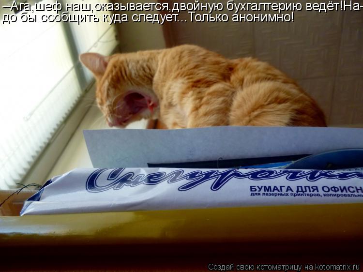 Котоматрица: --Ага,шеф наш,оказывается,двойную бухгалтерию ведёт!На- до бы сообщить куда следует...Только анонимно!