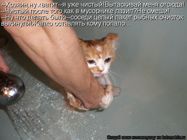 Котоматрица: --Хозяин,ну хватит--я уже чистый!Вытаскивай меня отсюда! --Чистый после того,как в мусорнике лазил?Не смеши! --Ну что делать было--соседи целый 