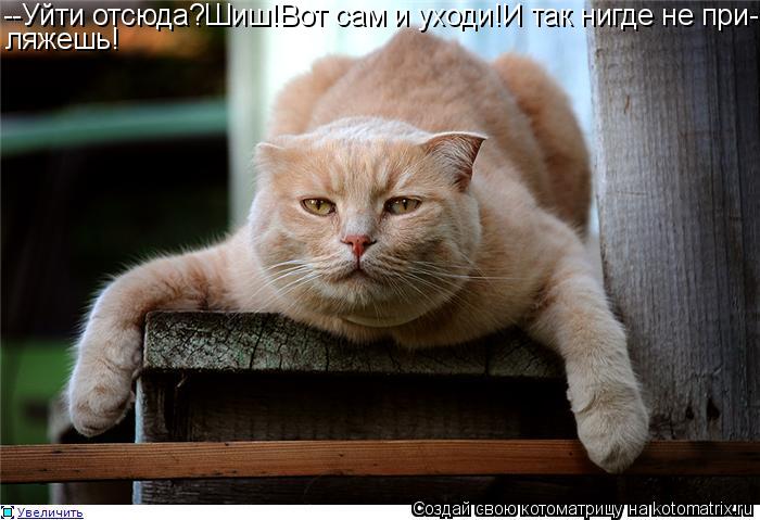 Котоматрица: --Уйти отсюда?Шиш!Вот сам и уходи!И так нигде не при- ляжешь!