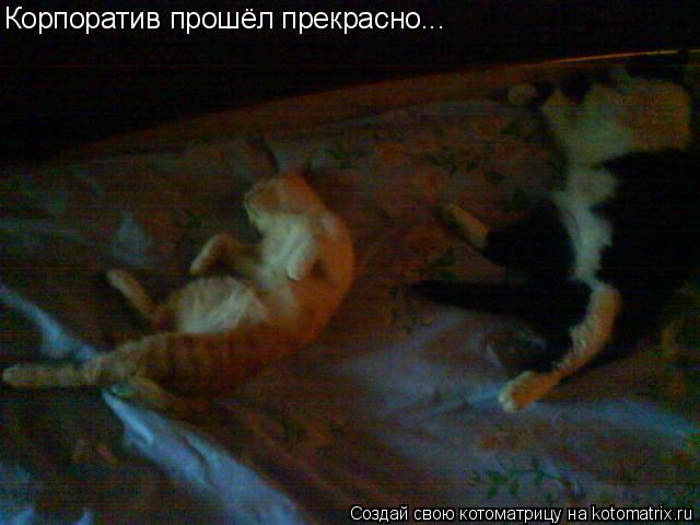 Котоматрица: Корпоратив прошёл прекрасно...