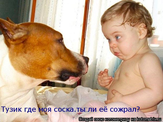 Котоматрица: Тузик где моя соска.ты ли её сожрал?