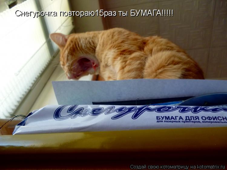 Котоматрица: Снегурочка повтораю15раз ты БУМАГА!!!!!