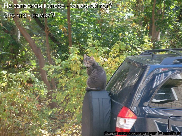 Котоматрица: На запасном колесе - запасной кот? Это что - намек?!