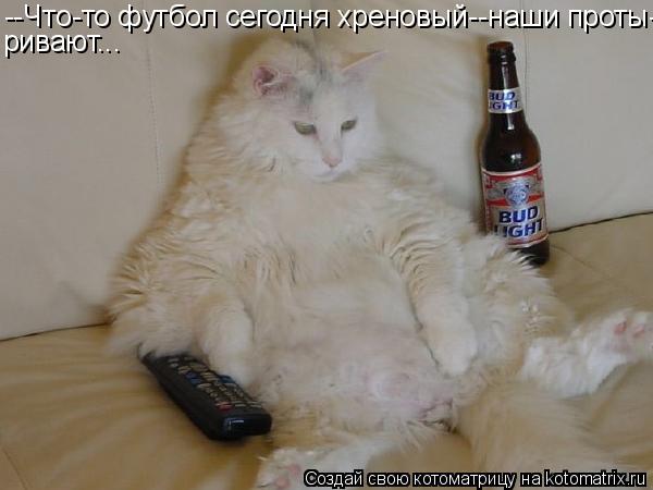 --Что-то футбол сегодня хреновый--наши проты- ривают...... Котоматрица: --Что-то футбол сегодня хреновый--наши проты- ривают...