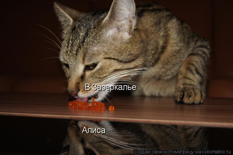 Алиса В Зазеркалье... Котоматрица: Алиса В Зазеркалье