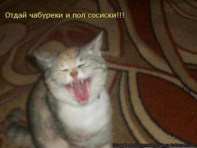 Отдай чабуреки и пол сосиски!!!... Котоматрица: Отдай чабуреки и пол сосиски!!!