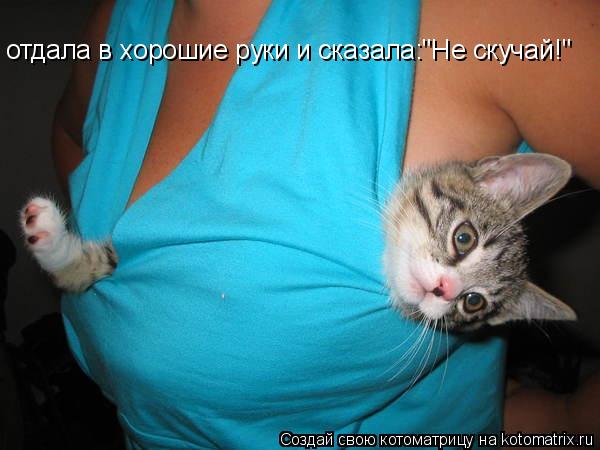 отдала в хорошие руки и сказала:"Не скучай!"... Котоматрица: отдала в хорошие руки и сказала:"Не скучай!"