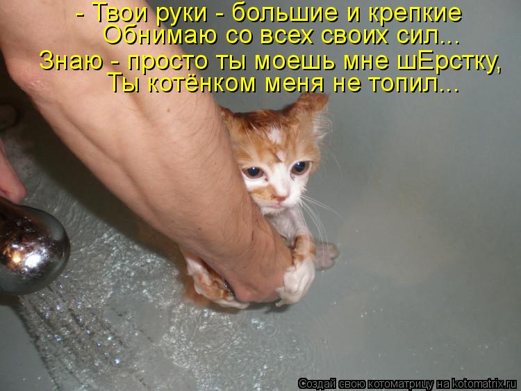 - Твои руки - большие и крепкие Обнимаю со всех своих сил... Знаю - просто ты моешь мне шЕрстку, Ты к... Котоматрица: - Твои руки - большие и крепкие Обнимаю со всех своих сил... Знаю - просто ты моешь мне шЕрстку, Ты котёнком меня не топил...