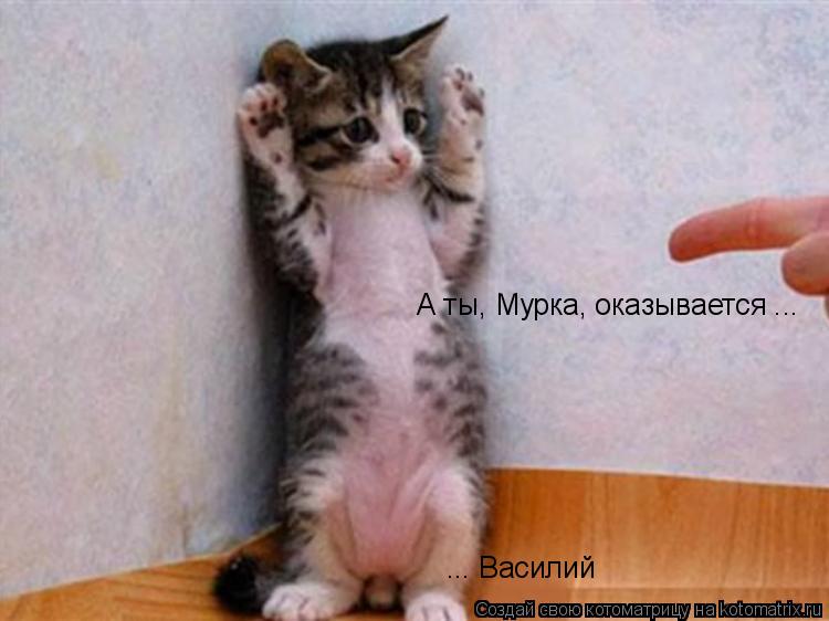 Котоматрица: ... Василий А ты, Мурка, оказывается ...