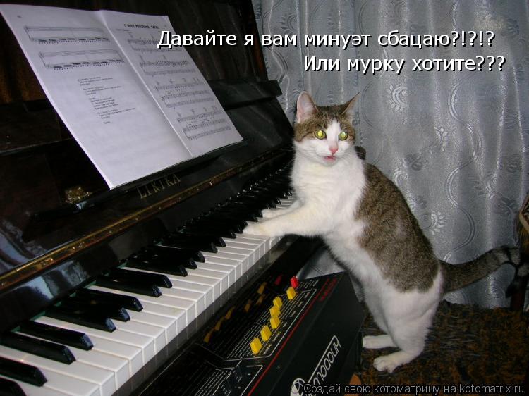Котоматрица: Давайте я вам минуэт сбацаю?!?!? Или мурку хотите???