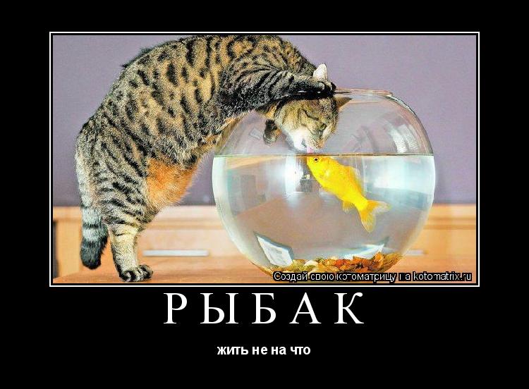 Котоматрица: рыбак жить не на что