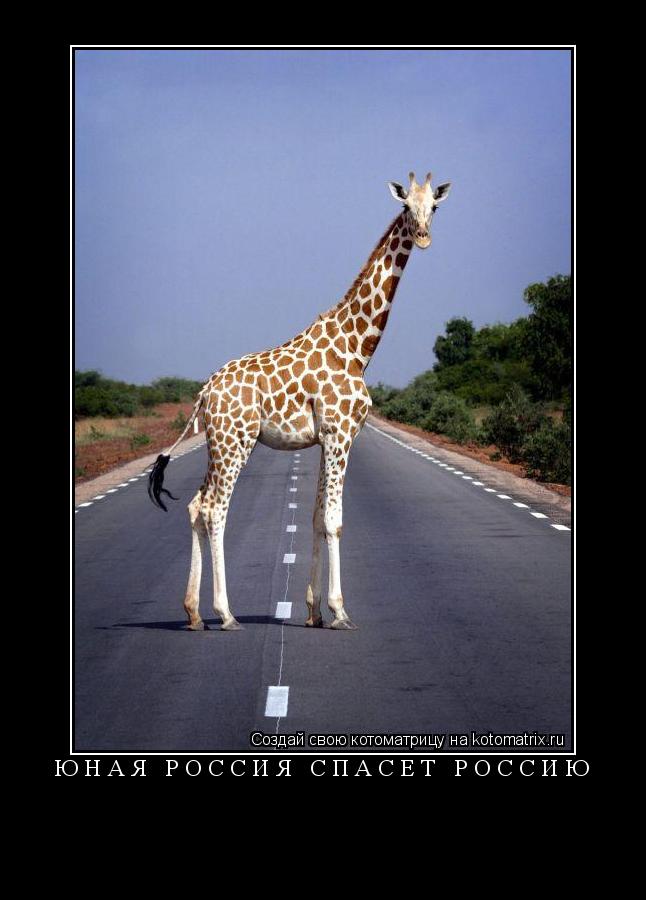 Котоматрица: юная россия спасет россию 