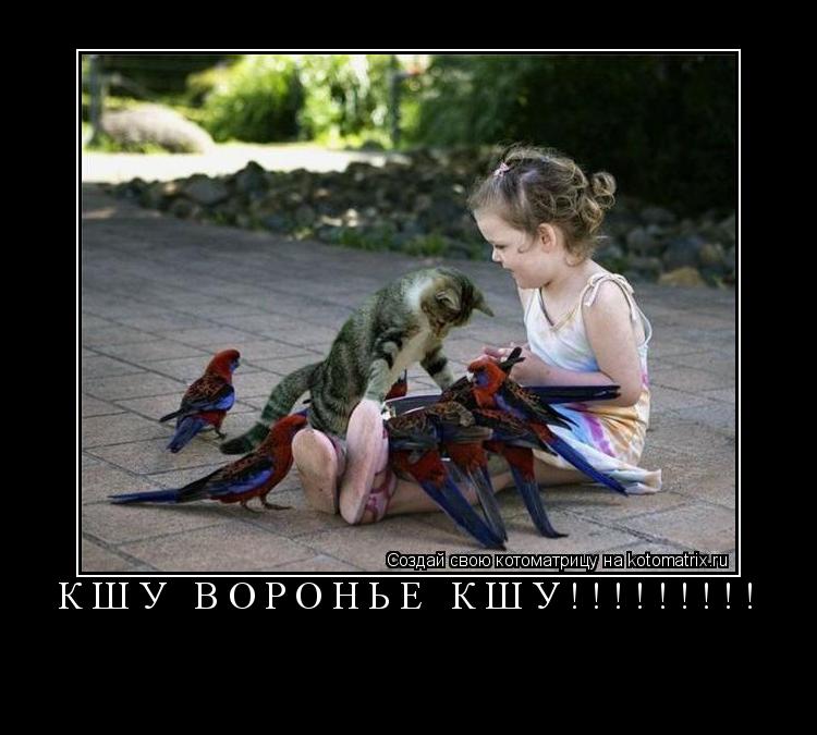 Котоматрица: Кшу Воронье кшу!!!!!!!!! 