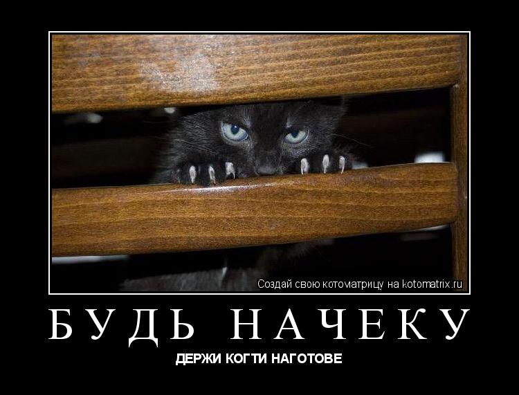 Котоматрица: будь начеку ДЕРЖИ КОГТИ НАГОТОВЕ