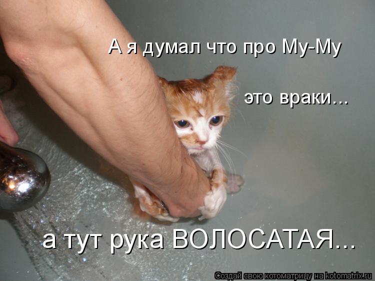 Котоматрица: А я думал что про Му-Му это враки... а тут рука ВОЛОСАТАЯ...