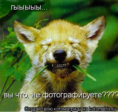 Котоматрица: гыыыыы... вы что, не фотографируете????