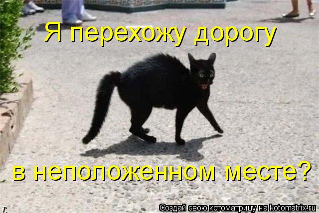 Котоматрица: Я перехожу дорогу в неположенном месте?