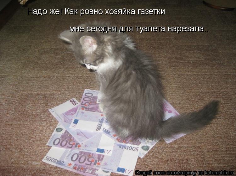 Котоматрица: Надо же! Как ровно хозяйка газетки  мне сегодня для туалета нарезала...