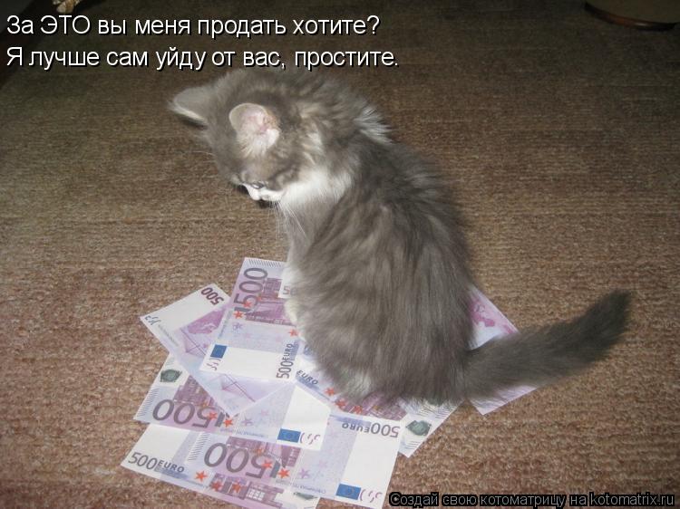 Котоматрица: За ЭТО вы меня продать хотите? Я лучше сам уйду от вас, простите.