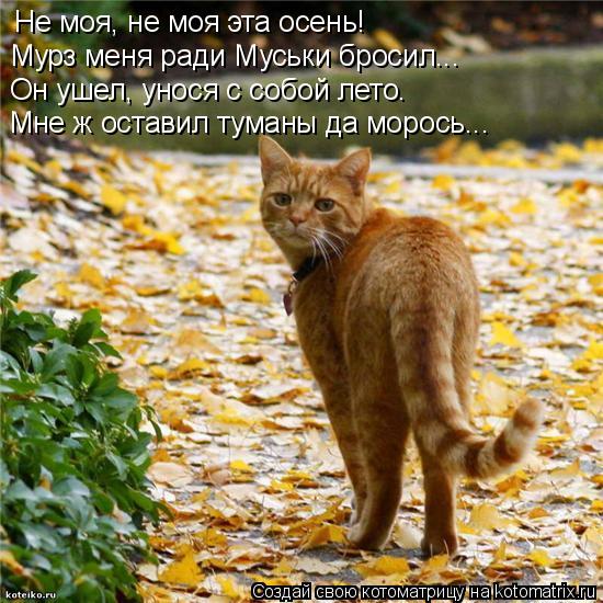 Котоматрица: Не моя, не моя эта осень! Мурз меня ради Муськи бросил... Он ушел, унося с собой лето.  Мне ж оставил туманы да морось...