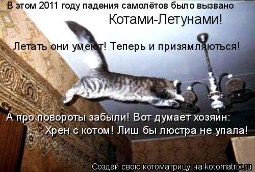 Котоматрица: В этом 2011 году падения самолётов было вызвано Котами-Летунами! Летать они умеют! Теперь и призямляються! А про повороты забыли! Вот думает х
