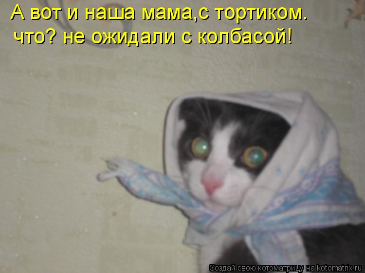 Котоматрица: А вот и наша мама,с тортиком. что? не ожидали с колбасой!