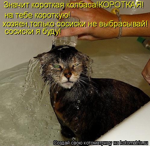 Котоматрица: Значит короткая колбаса!КОРОТКАЯ! на тебе короткую! хозяен,только сосиски не выбрасывай! сосиски я буду!