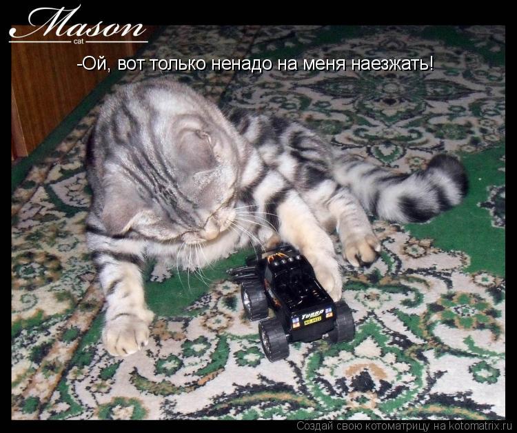 Котоматрица: -Ой, вот только ненадо на меня наезжать!