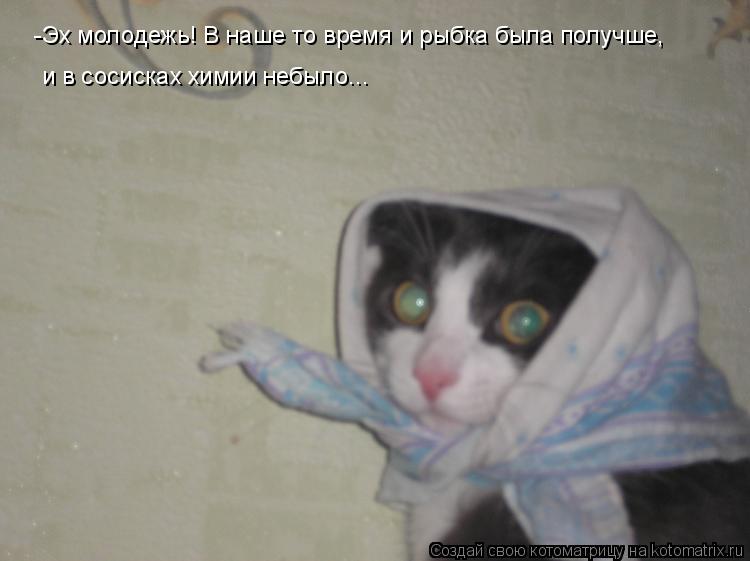Котоматрица: -Эх молодежь! В наше то время и рыбка была получше, и в сосисках химии небыло...