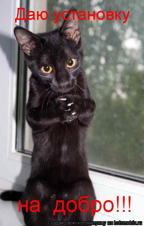 Котоматрица: Даю установку на  добро!!!