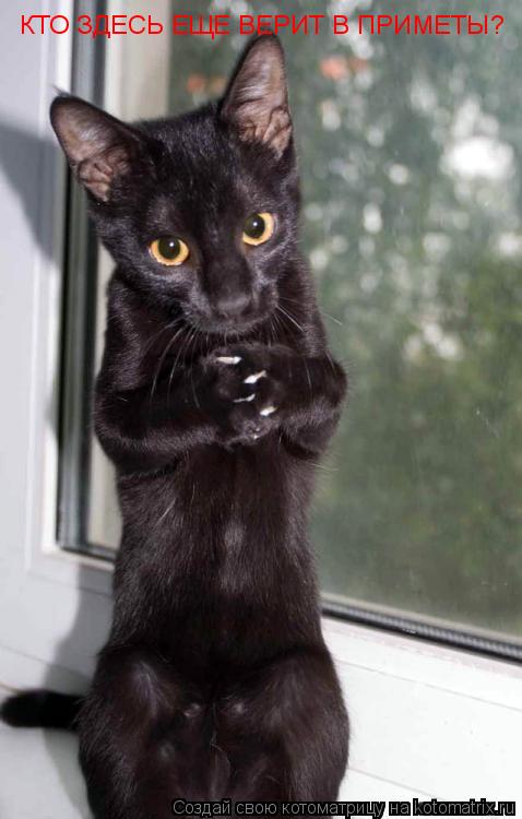КТО ЗДЕСЬ ЕЩЕ ВЕРИТ В ПРИМЕТЫ?... Котоматрица: КТО ЗДЕСЬ ЕЩЕ ВЕРИТ В ПРИМЕТЫ?