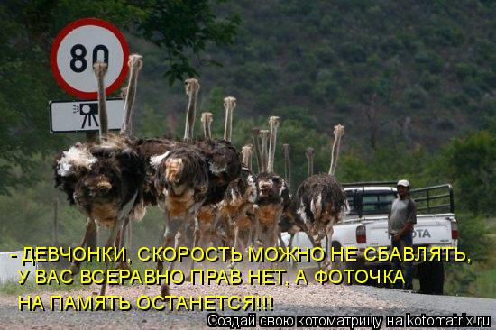 У ВАС ВСЕРАВНО ПРАВ НЕТ, А ФОТОЧКА НА ПАМЯТЬ ОСТАНЕТСЯ!!! - ДЕВЧОНКИ, СКОРОСТЬ МОЖНО НЕ СБАВЛЯТЬ,... Котоматрица: У ВАС ВСЕРАВНО ПРАВ НЕТ, А ФОТОЧКА НА ПАМЯТЬ ОСТАНЕТСЯ!!! - ДЕВЧОНКИ, СКОРОСТЬ МОЖНО НЕ СБАВЛЯТЬ,