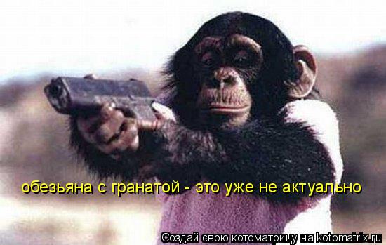 обезьяна с гранатой - это уже не актуально... Котоматрица: обезьяна с гранатой - это уже не актуально