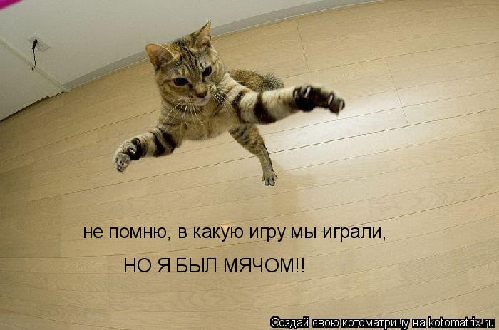 не помню, в какую игру мы играли, НО Я БЫЛ МЯЧОМ!!... Котоматрица: не помню, в какую игру мы играли, НО Я БЫЛ МЯЧОМ!!